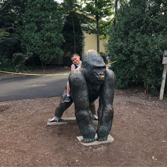 Meet your Posher, Norma - Picture 1 of 1